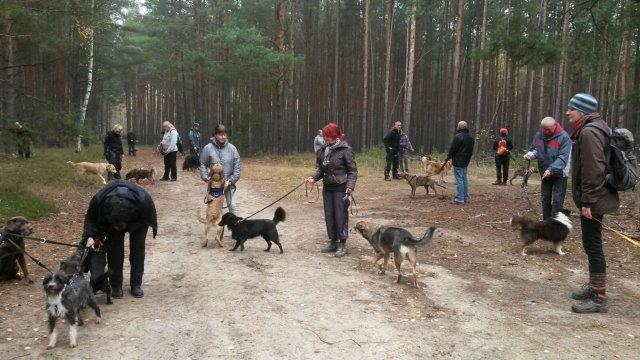 IMG-20161031-WA0006 Herbstwanderung 2016 - Impressionen