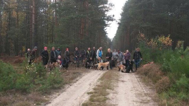 IMG-20161031-WA0008 Herbstwanderung 2016 - Impressionen