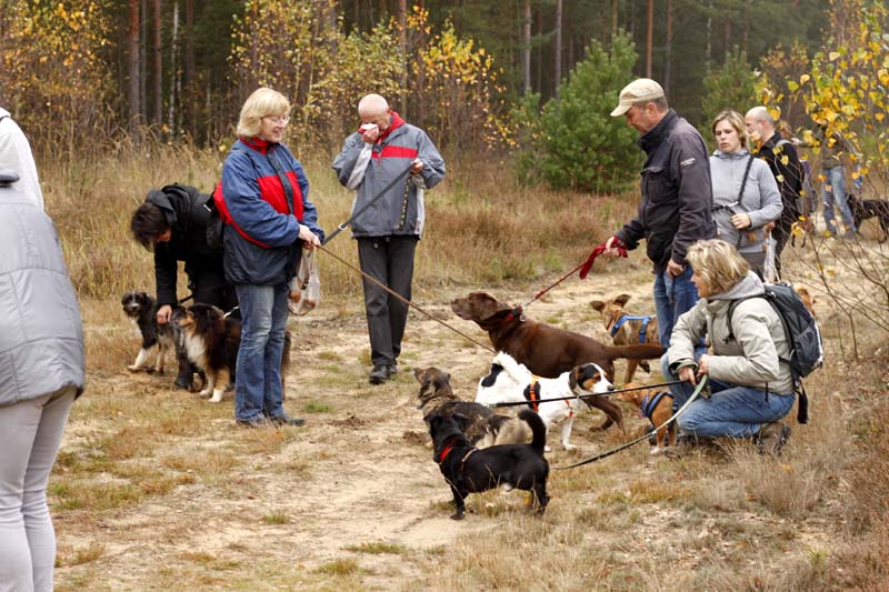 MG_6324 Herbstwanderung mit den Tierheimhunden 2016