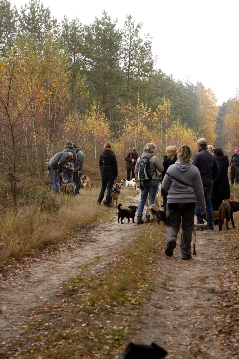 MG_6383 Herbstwanderung mit den Tierheimhunden 2016