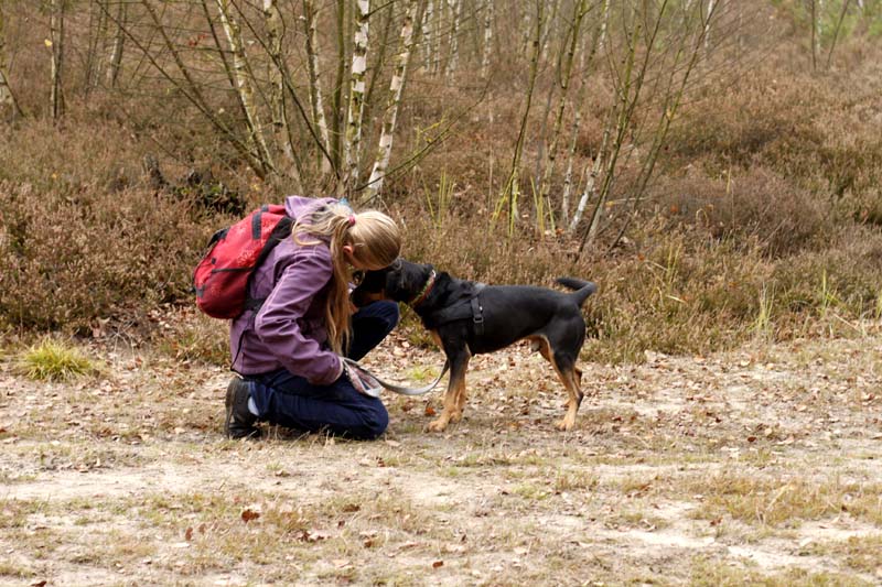 MG_6392 Herbstwanderung mit den Tierheimhunden 2016