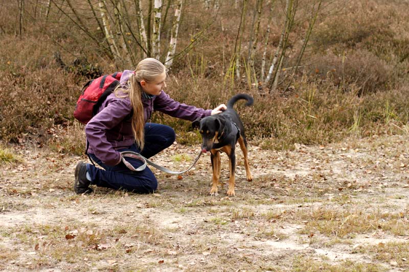 MG_6393 Herbstwanderung mit den Tierheimhunden 2016