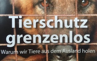 Tierschutz-320x202 Spendenaktion in Cottbus mit Straßenmusik