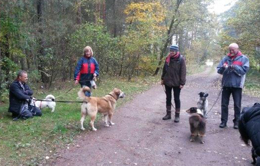 beitragsbild Ein ganz normaler Monat im Tierschutzliga-Dorf