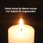 kerze für merlot von sabine w angezündet