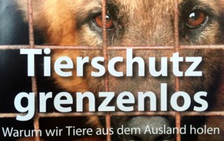 Tierschutz-grenzenlos-tiere-aus-dem-ausland-320x202 Spendenaktion in Cottbus mit Straßenmusik