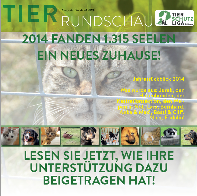 beitragsbild-tierrundschau-kompakt-2015 Tierrundschau kompakt - Tierschutzzahlen