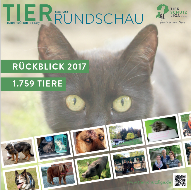 beitragsbild-tierrundschau-kompakt-2018 Tierrundschau kompakt - Tierschutzzahlen