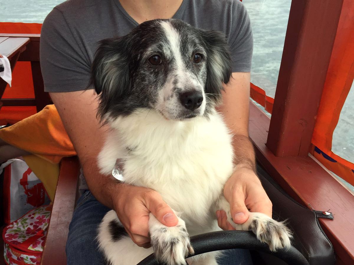 Hund-Lila-beim-boot-fahren-mit-mann Lila schickt liebe Grüße