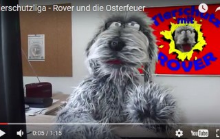 beitragsbild-rover-osterfeuer-tierschutzliga-320x202 Rosi (N11/14)