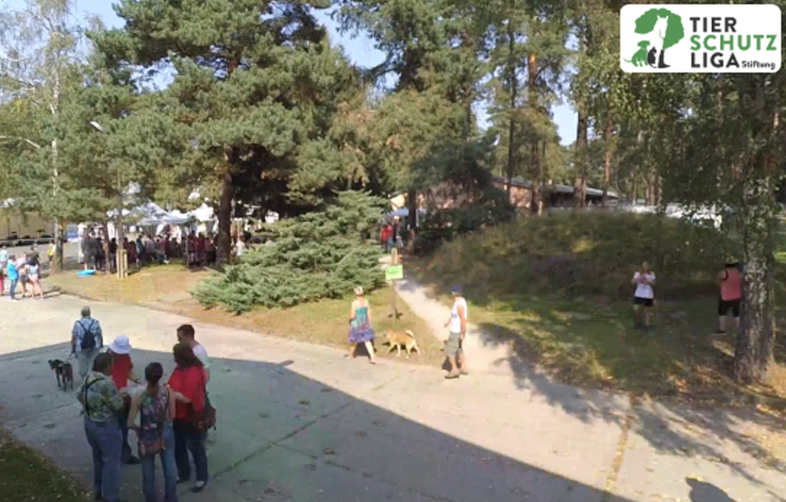 beitragsbildg tag offen tür zeitraffer tierschutzliga dorf