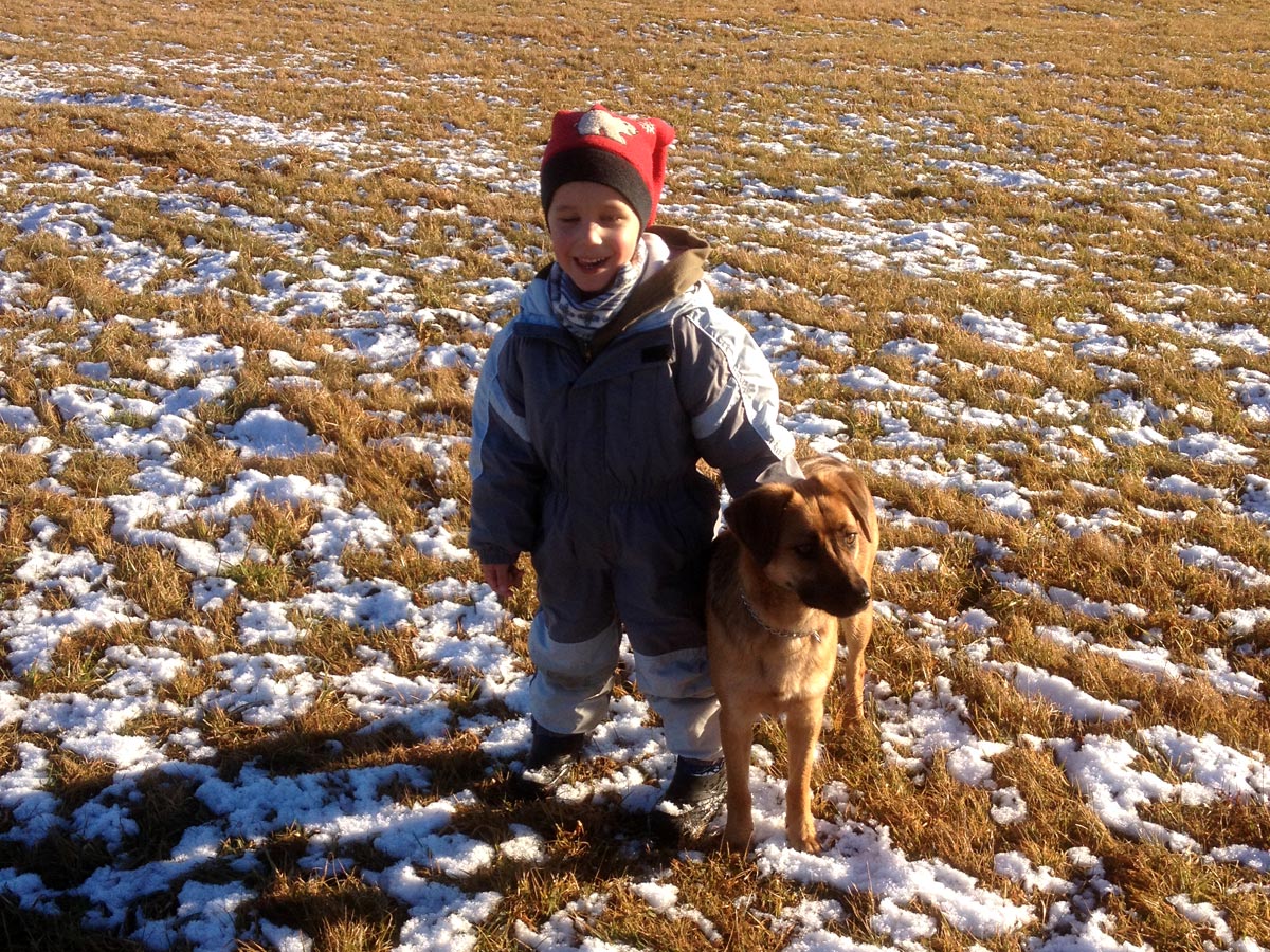 brauner-hund-kira-mit-kind-auf-feld Kira