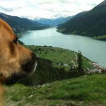 leserbilder-holger-liniger-paule-150x150 Urlaub mit Hund - Die schönsten Orte