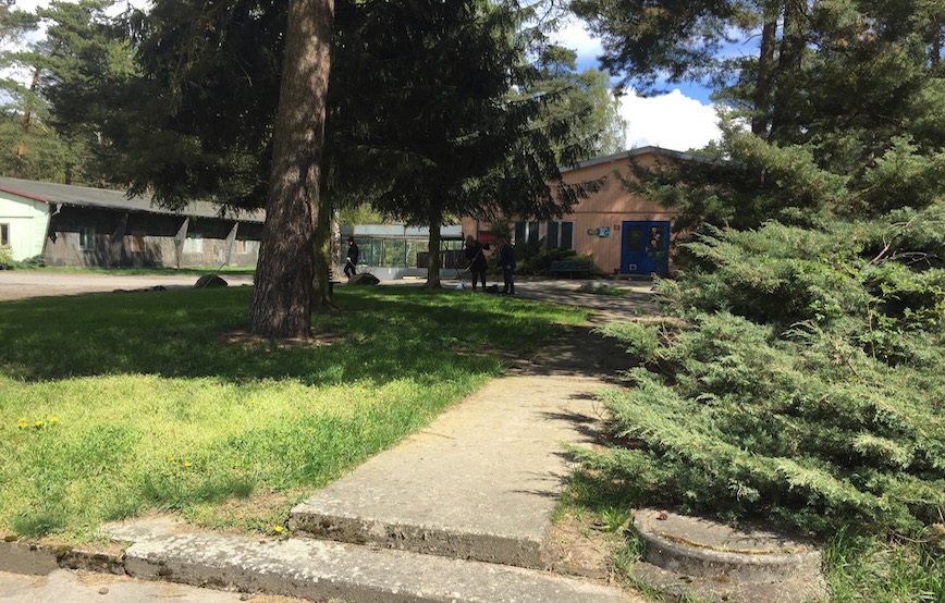 Frühjahrsputz tierschutzligadorf ehrenamt