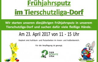 Frühjahrsputz-2017-320x202 Spendenaktion in Cottbus mit Straßenmusik