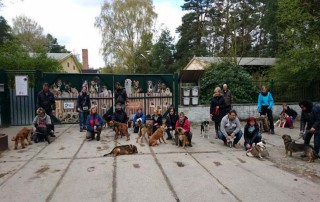 Hundewanderung-2017-Gruppenfoto-320x202 Spendenaktion in Cottbus mit Straßenmusik