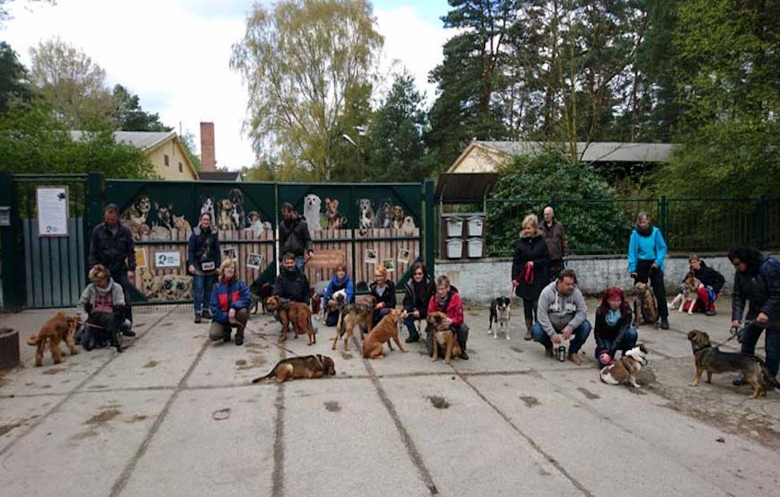 Hundewanderung-2017-Gruppenfoto Hunde-Pfingstwanderung 2018