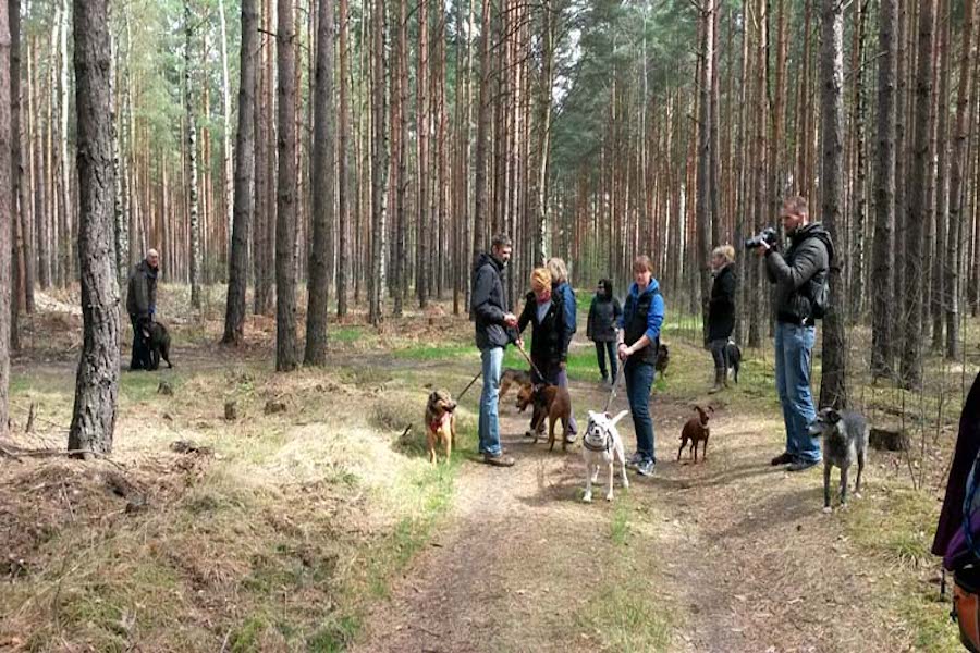 Hundewanderung-mann-fotografiert-hunde Ehrenamt - Gassigehen