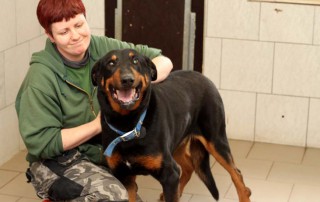 beitragsbild-eddy-hund-dobermann-mix-geschirr-gassi-gehen-tierschutzliga-dorf-betreung-320x202 Spendenaktion in Cottbus mit Straßenmusik