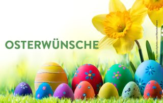 beitragsbild osterwünsche blumen tierschutzliga