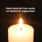 kerze für pips von bettina b angezündet