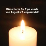 kerze von angelika t für pips trauriges