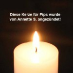 kerze von annette s für pips trauriges