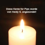 kerze von heidy s für pips trauriges