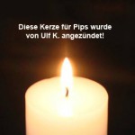 kerze von ulf k für pips trauriges