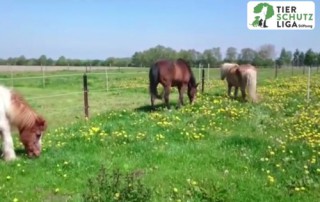 beitragsbild impressionen wardenburg