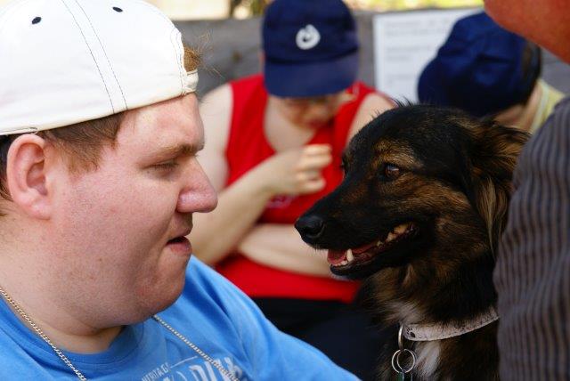 therapie-hund-junge-ausflug Von Menschen und Hunden - Therapiehunde aus dem Tierheim