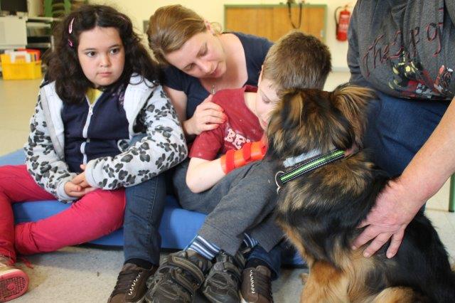 therapie-hund-junge-kuschelt Von Menschen und Hunden - Therapiehunde aus dem Tierheim