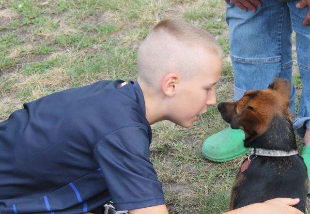 therapie-hund-junge-wiese-spielt Von Menschen und Hunden - Therapiehunde aus dem Tierheim