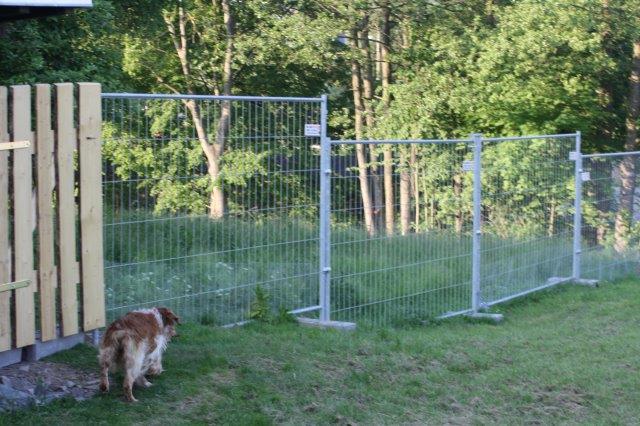 zaun-hundeauslauf-hunde-spielen-zaun Es ist vollbracht - Unser neuer Zaun ist fertig