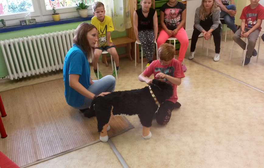 Projektwoche-frau-mit-plüschhund-kinder-beobachten-gespannt Erste Hilfe am Tier für Kinder