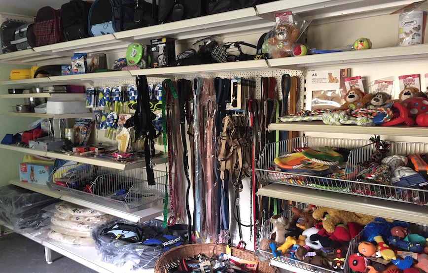 Tierschutzshop regal mit leinen hundezubehör