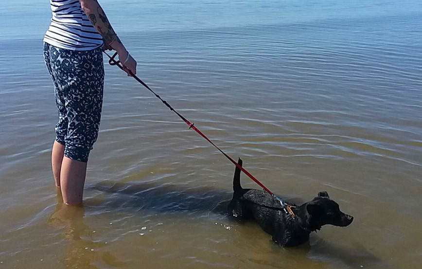 hund-lucy-im-wasser-mit-frau Lucy - ich habe so schöne Sachen erlebt