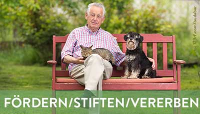 beitragsbild-fördern Startseite Tierschutzliga Stiftung