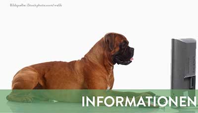 beitragsbild-informationen Startseite Tierschutzliga Stiftung
