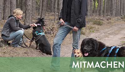 beitragsbild-mitmachen-2 Startseite Tierschutzliga Stiftung