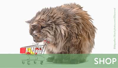 beitragsbild-shop-1 Startseite Tierschutzliga Stiftung