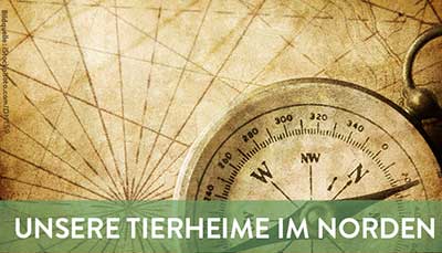 beitragsbild-tierheime-nord Startseite Tierschutzliga Stiftung
