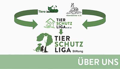 beitragsbild-über-uns Startseite Tierschutzliga Stiftung