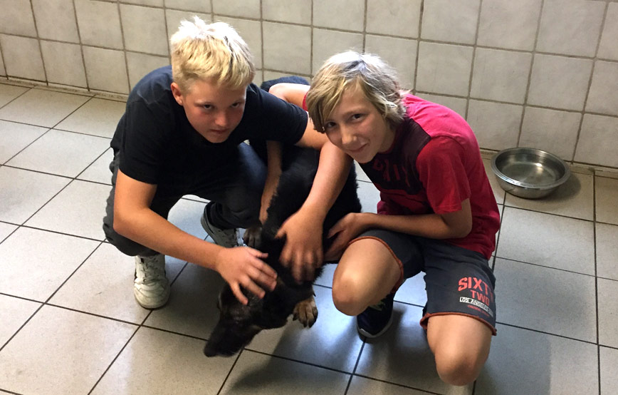 zwei-jungs-streicheln-einen-hund Jugendliche zeigten tollen Einsatz im Tierschutzliga-Dorf