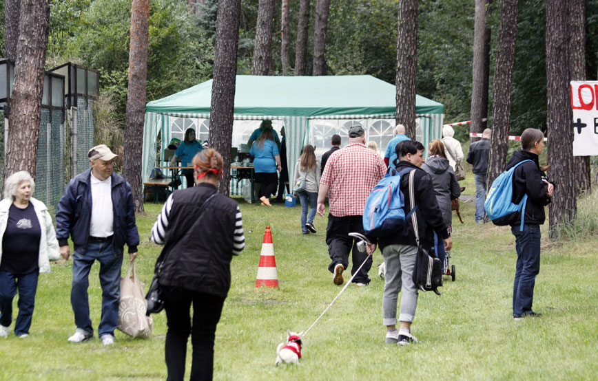 Besucher-auf-dem-weg-zur-tombola Ehrenamt - Unterstützung bei Tierheimveranstaltungen