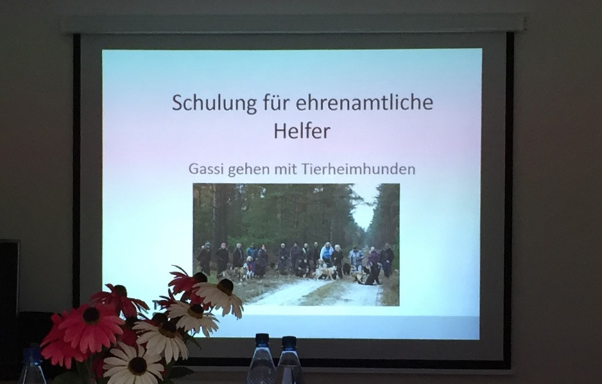 Gassigeherschulung-Seminar-für-ehrenamtliche-Helfer Ehrenamt - Gassigehen