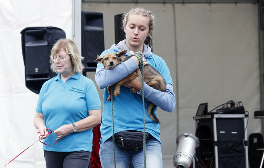 frau-hat-hund-auf-dem-arm-tierheimfest Ehrenamt - Unterstützung bei Tierheimveranstaltungen