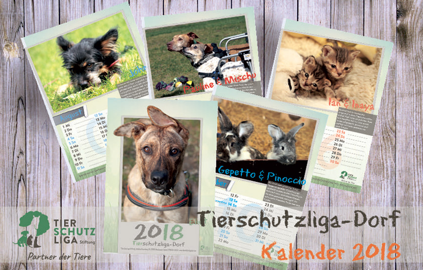 vorab-Preview-2018-Kalender-Tierschutzligadorf 9 knubbelige Hundewelpen suchen ein Zuhause