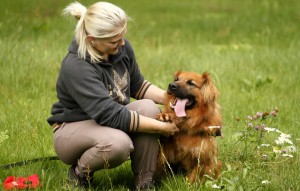 Hund Knut liegt neben frau im gras