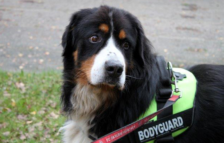 beitragsbild bernhard daumenkralle fuß tumor